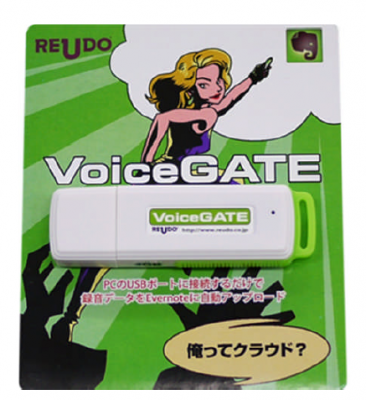 VoiceGATE